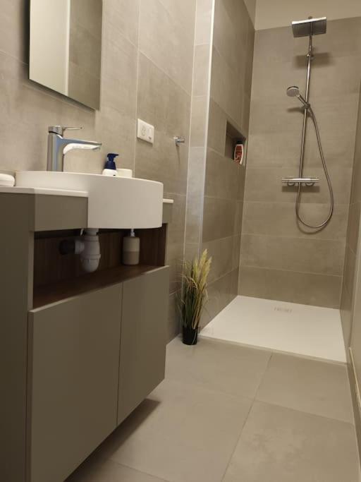 Castel De Satoya Apartment Белфор Екстериор снимка